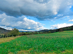 Zell am Harmersbach Landscape