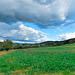 Zell am Harmersbach Landscape