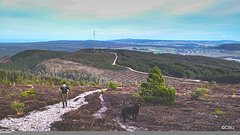 Heading up to hte summit of Ben Aigan, via the Radio mast in the distance.