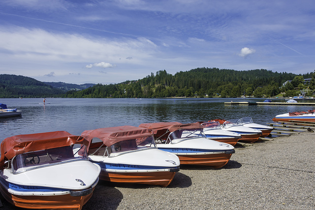 am Titisee ... nach eine Jahr Corona-Pause ...(© Buelipix)