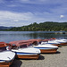 am Titisee ... nach eine Jahr Corona-Pause ...(© Buelipix)