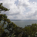 Nuages sur feuillage / Clouds above foliage