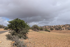 Paysage marocain hors des sentiers battus.