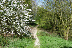 Sentier