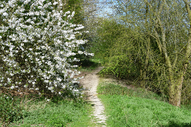 Sentier