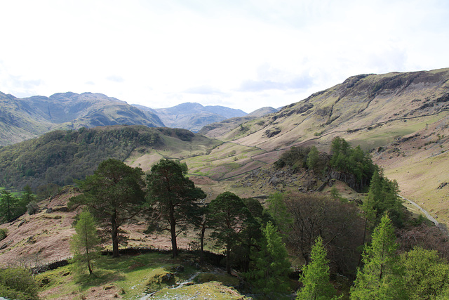 Castle Crag Borrowdale