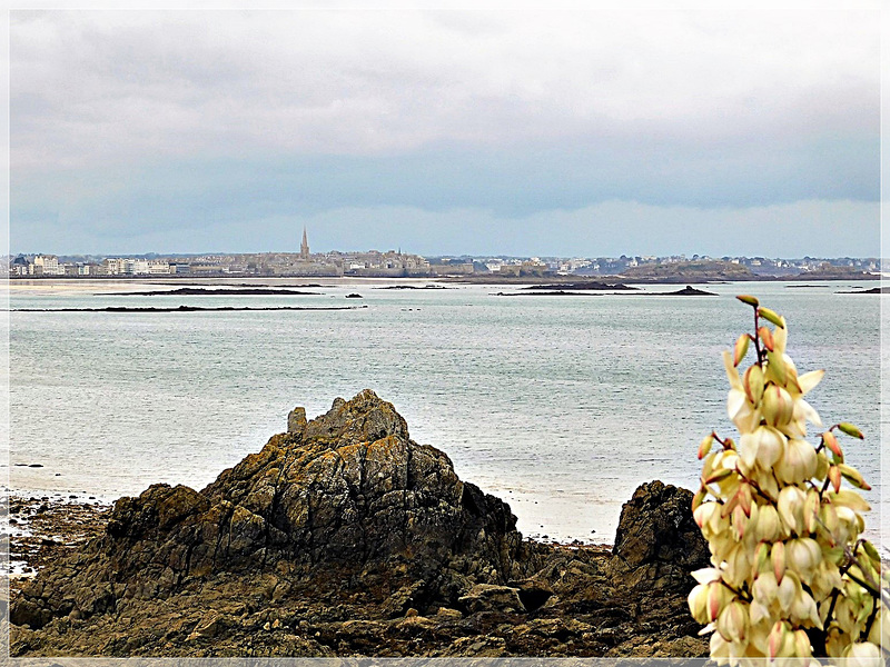 Vue vers Saint Malo (35) depuis le circuit de Randonnée