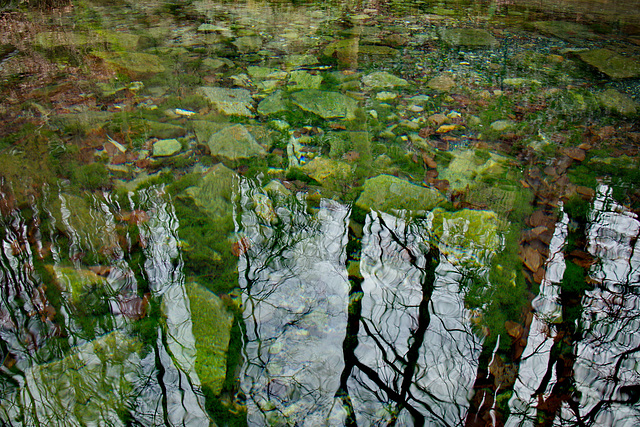 Mariaspring, das extrem klare Wasser der Quelle