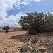 Moroccan country Side / La campagne marocaine Moroccan country Side / La campagne marocaine