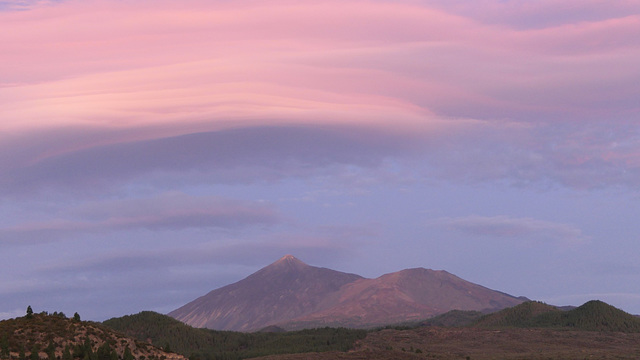 tenerife (8)