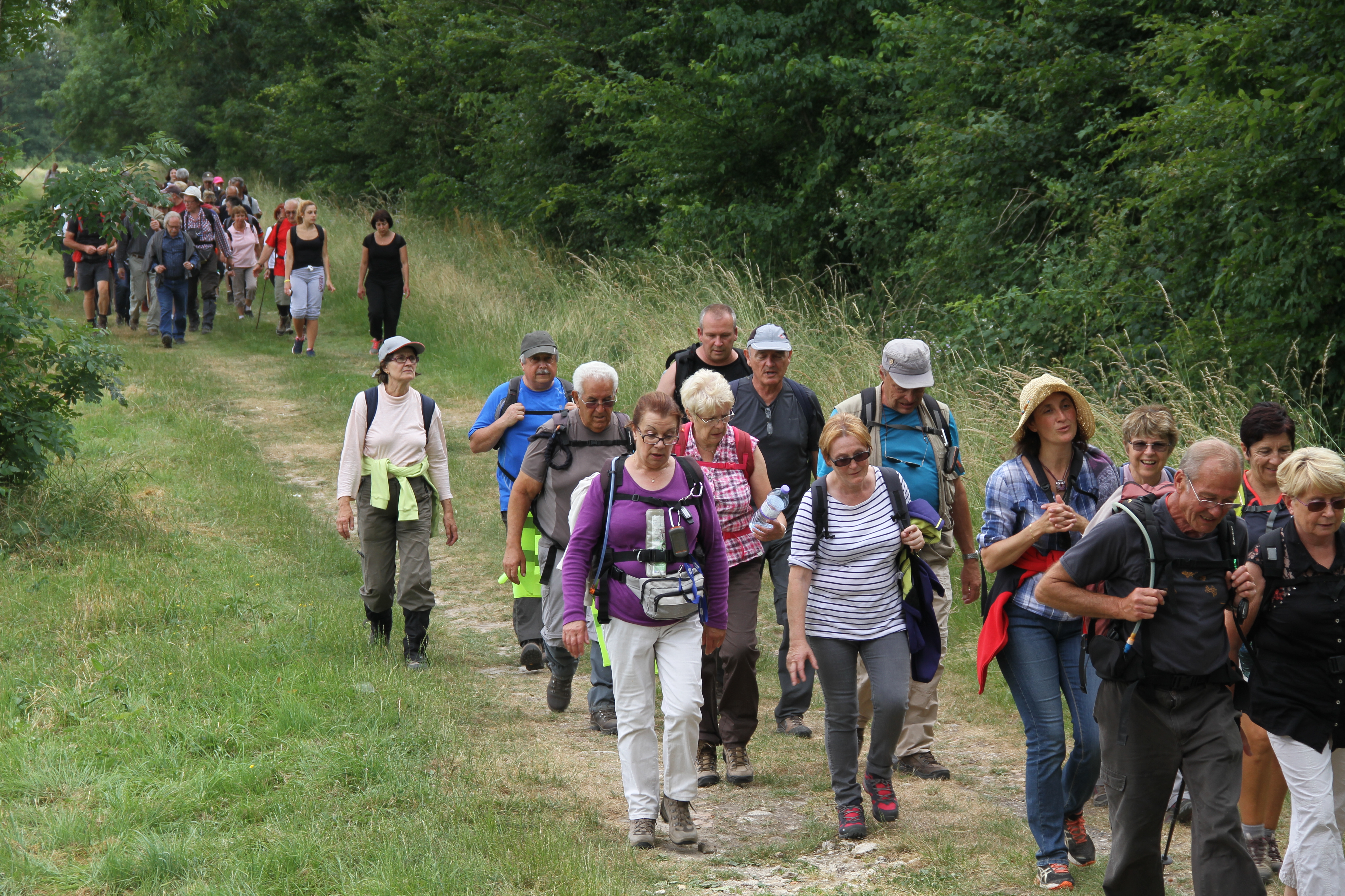 Randonnée Bombon-La Chapelle Gauthier-Bombon  - 20/06/2015