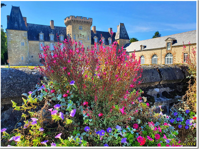 Château en robe fleurie