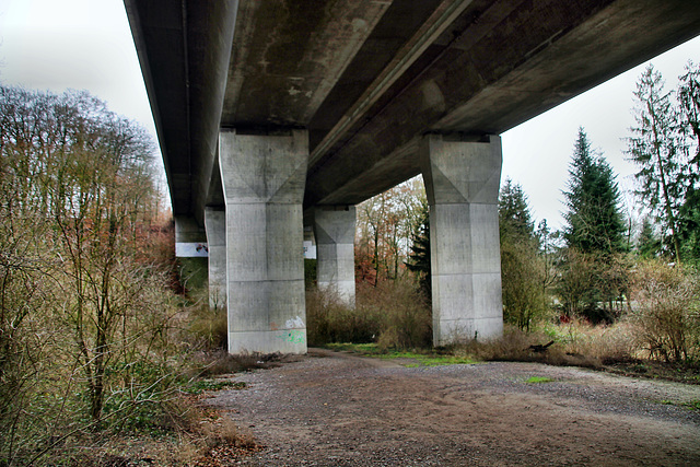 Autobahnbrücke Waldbach der A535 (Wülfrath) / 15.01.2022