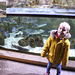 Hastings Aquarium  19 12 2022  a fish called Coley