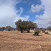 Campagne marocaine hors des sentiers battus Campagne marocaine hors des sentiers battus