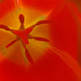 2024-05: rot (12)