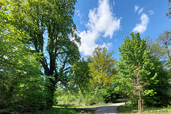 Landschaft bei Kuchelmiß