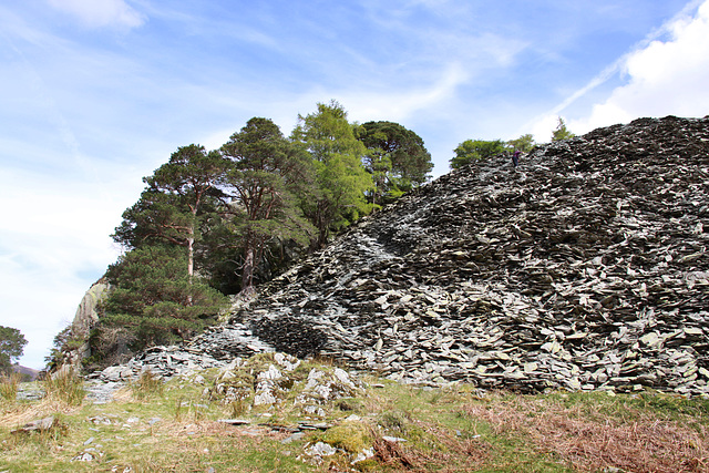 Castle Crag Borrowdale