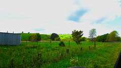 Half-Hidden Farm Fence.