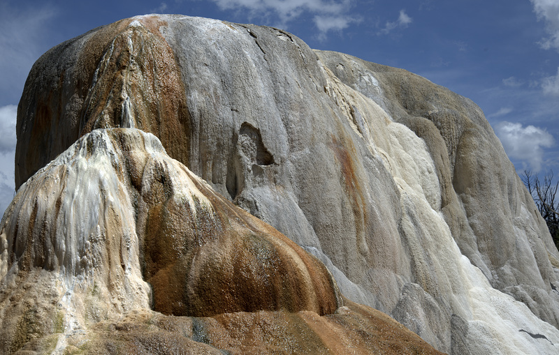 Outcrop at Mammoth Hot Springs