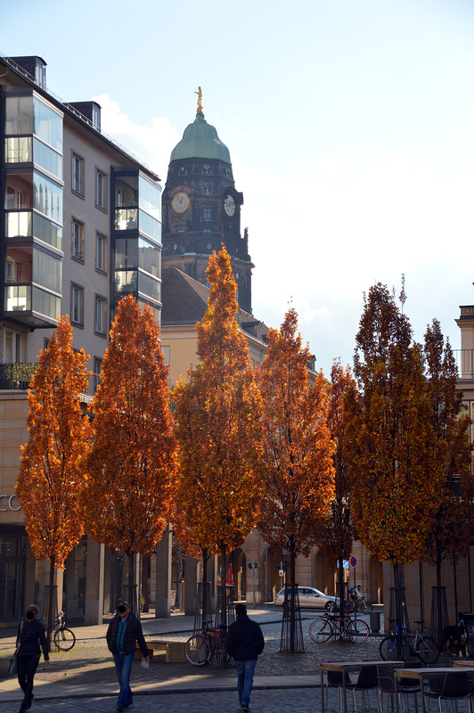 Spätherbst in Dresden