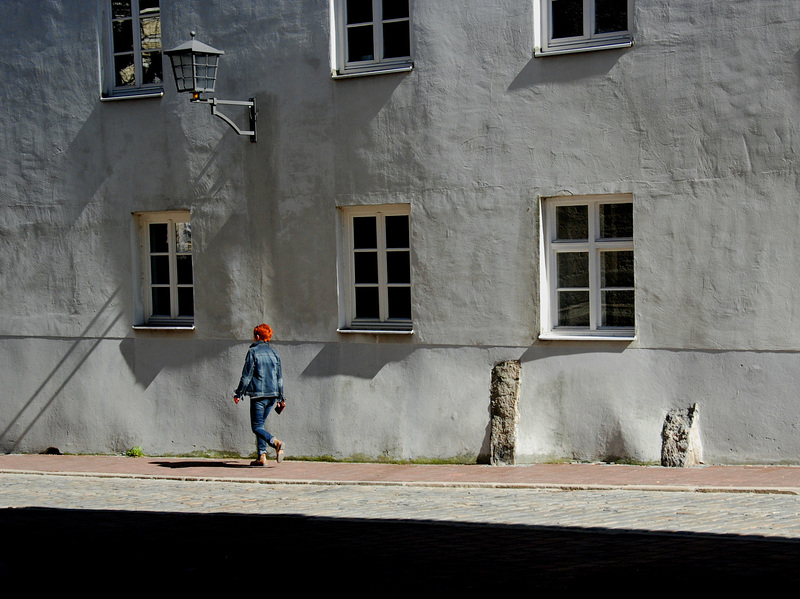 Die Frau mit den roten Haaren