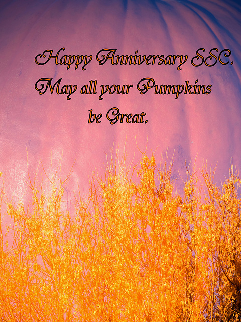 SSC First Anniversary