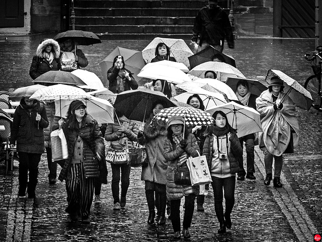 A rainy day in Heidelberg...