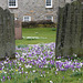 St Mary's churchyard    Kirkby Lonsdale