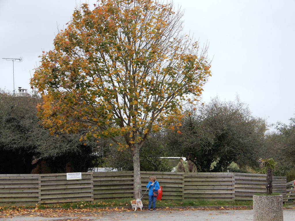 l'automne,,,
