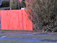 Wooden Fence At Sunset