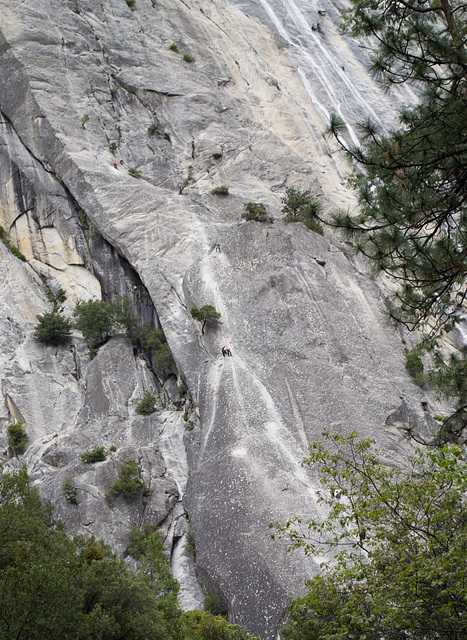 Yosemite Awahnee rock climbers (#0561)