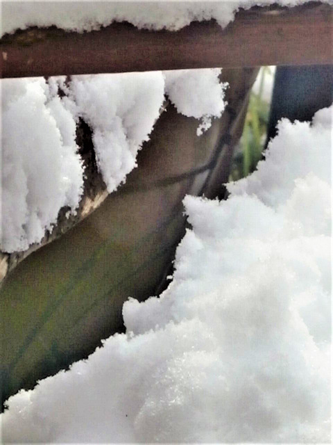 Close up of the snow on the bench
