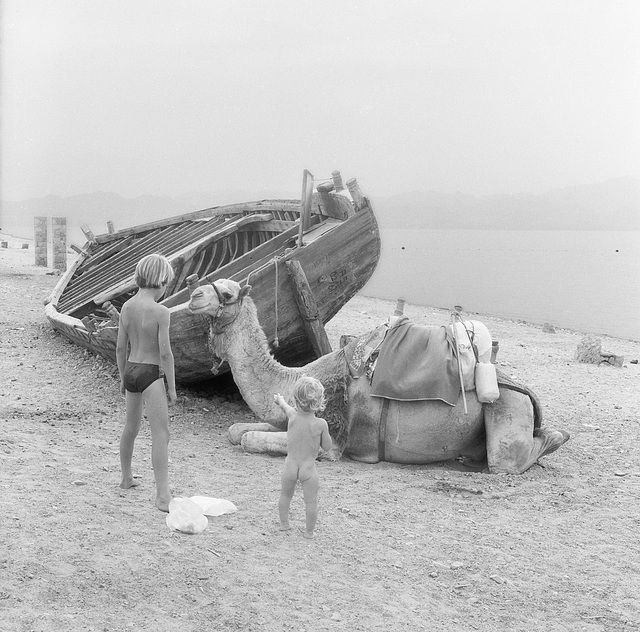 Nuweiba May 1981