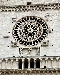 Assisi 2024 – Cattedrale di San Ruﬁno – Rose window