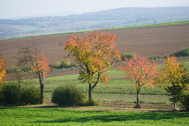 An der Totenhäuser Straße