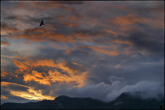 Allà on hem estat avui