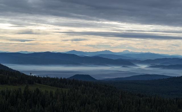 Mt Shasta Everitt Memorial Highway (1068)