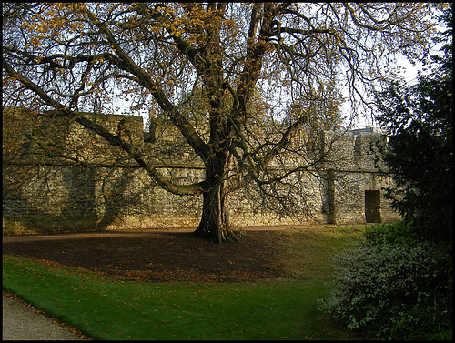 old city wall