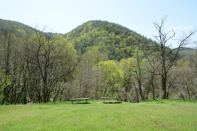 Bulgaria, Blagoevgrad, Two Benches at the Lawn in the Park of Bachinovo