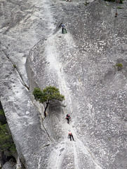 Yosemite Awahnee rock climbers (#0563)