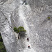 Yosemite Awahnee rock climbers (#0563)