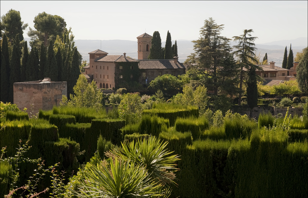Summer gardens view II