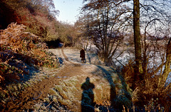 River Severn at Ribbesford (Scan from 1970s)
