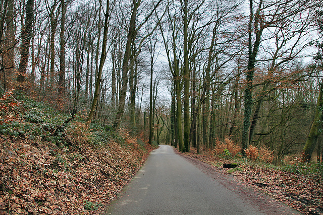 Zufahrtstraße Klinik Aprath (Wülfrath-Aprath) / 15.01.2022