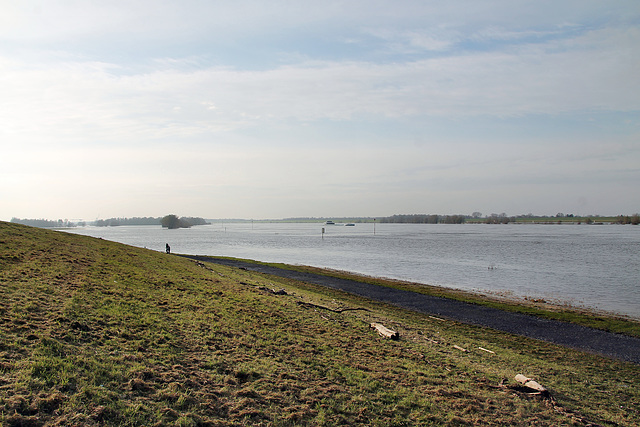 Rhein bei der Emschermündung (Dinslaken) / 3.12.2023