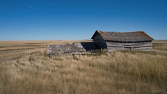 shed+addition