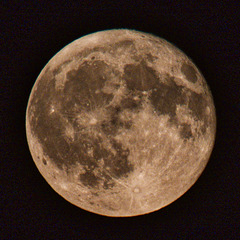 09.08.2025 - mein erster Versuch 09.08.2025 - mein erster Versuch