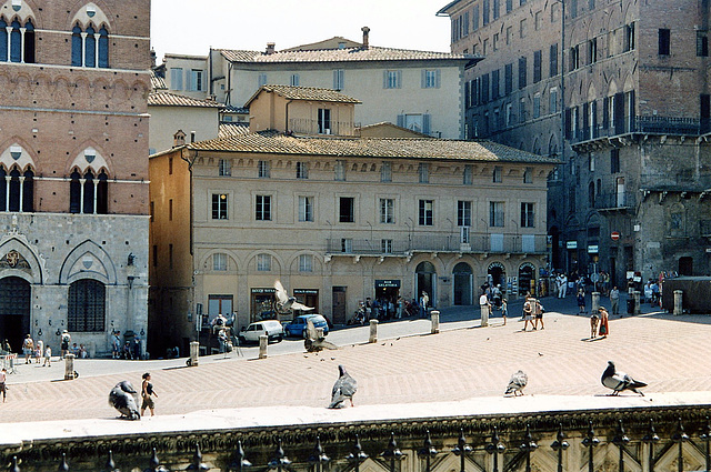 Auf der Piazza del Campo in Siena ( 2004 )