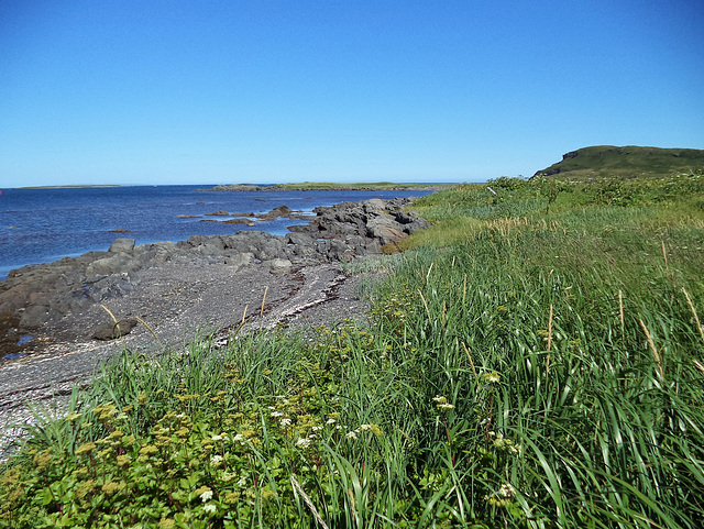 Un anse 100% nature (2)